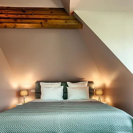 Apartment Les Oiseaux Kaysersberg-Vignoble