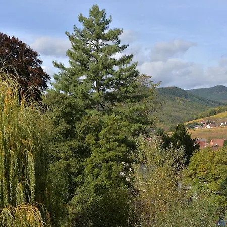 Les Oiseaux Kaysersberg-Vignoble