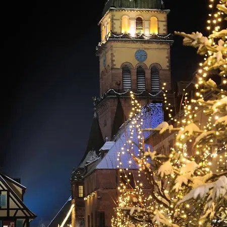 Apartment Les Oiseaux *